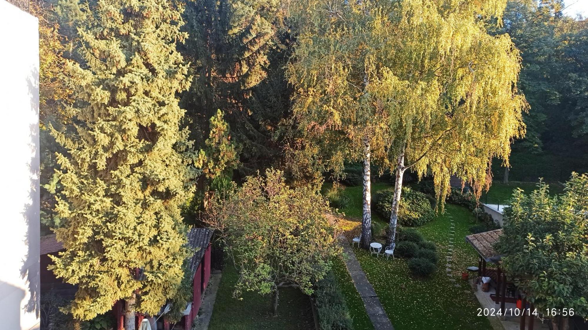Apartman Oaza Olja Belgrád Kültér fotó